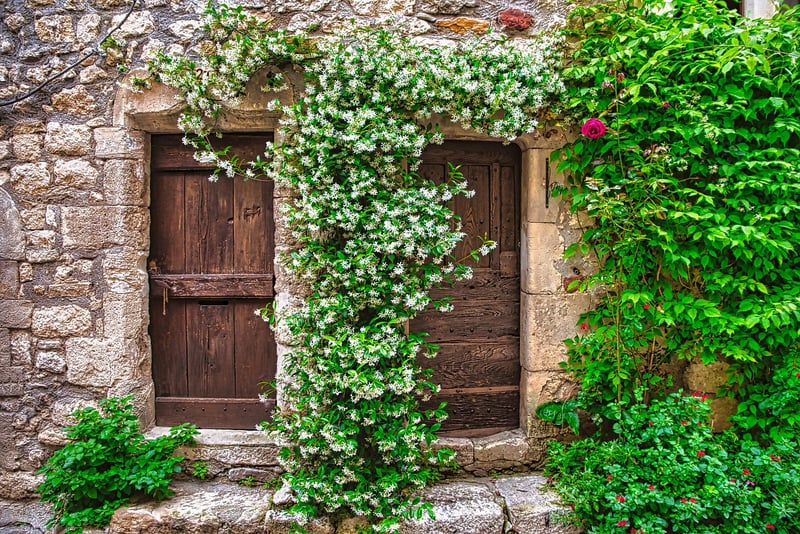 Flower arches